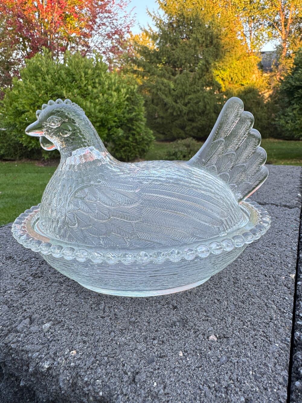 Vintage Indiana Clear Glass Hen on Nest Covered Dish Beaded Edge 7” X 5.5”